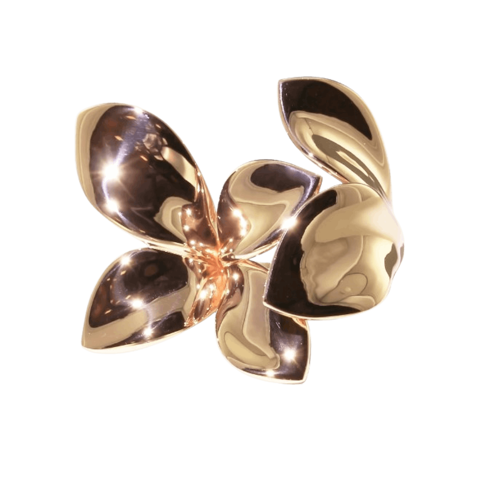Vertical 18K Rose Gold Giardini Segreti Five Leaves Ring