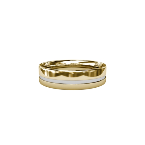 Vertical High Polish Men's Yellow Gold Band M1021Y