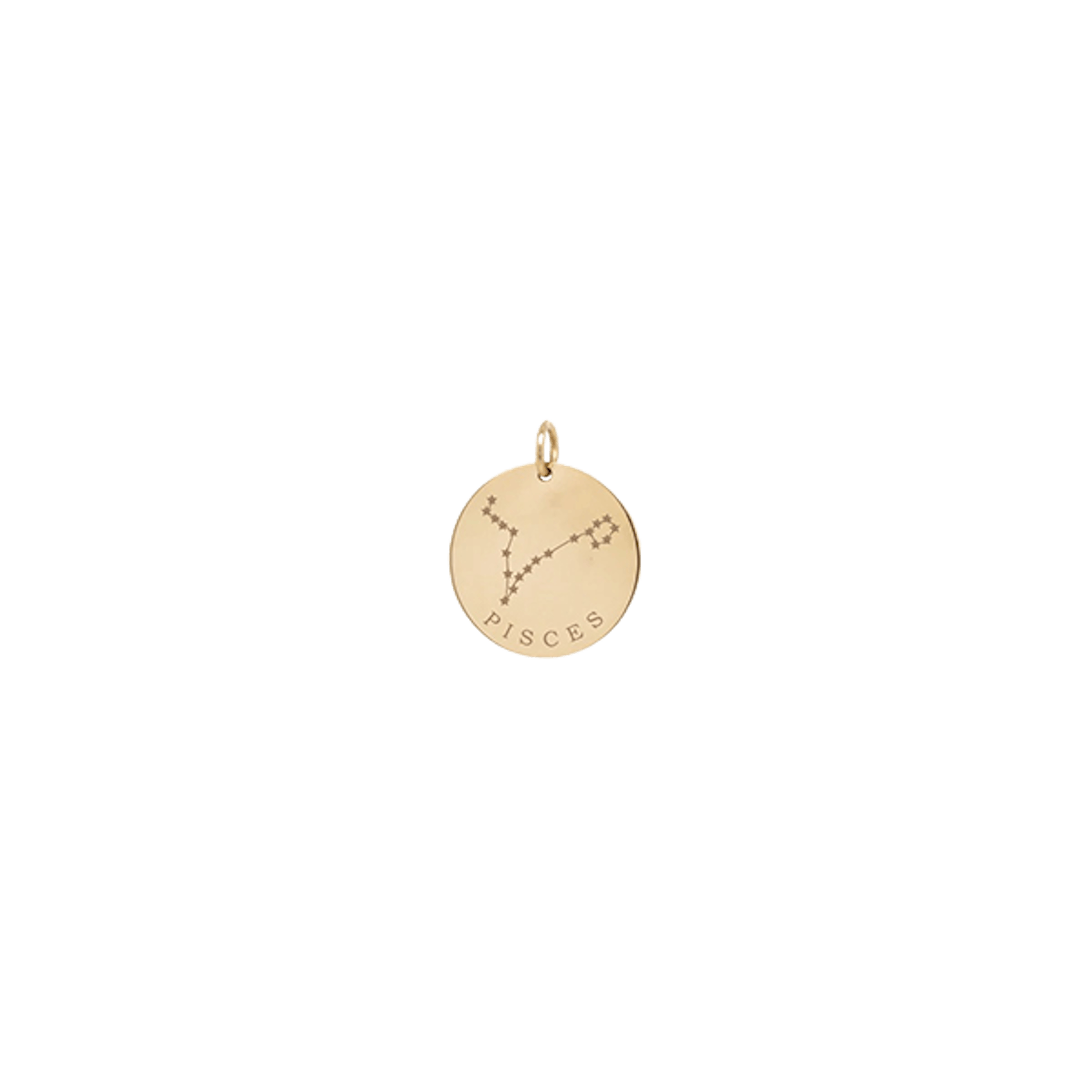 Vertical Pisces Zodiac Disc Charm