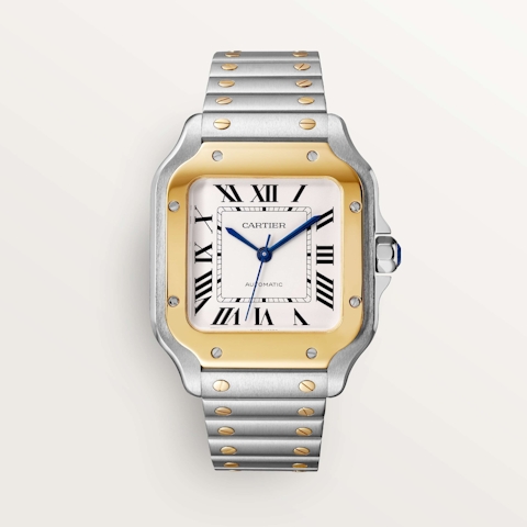 Vertical Santos Medium Model