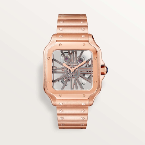 Vertical Santos de Cartier